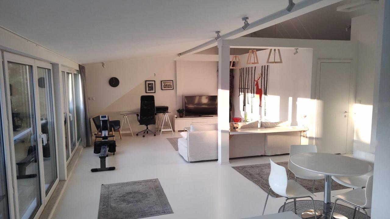 Loft 85 M2 Wilanow Krolewski Self Checkin ワルシャワ エクステリア 写真